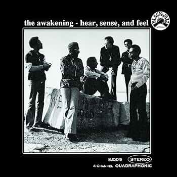 the awakening hear, sense and feel レコード Amazon.co.jp: HEAR, SENSE AND FEEL: ミュージック